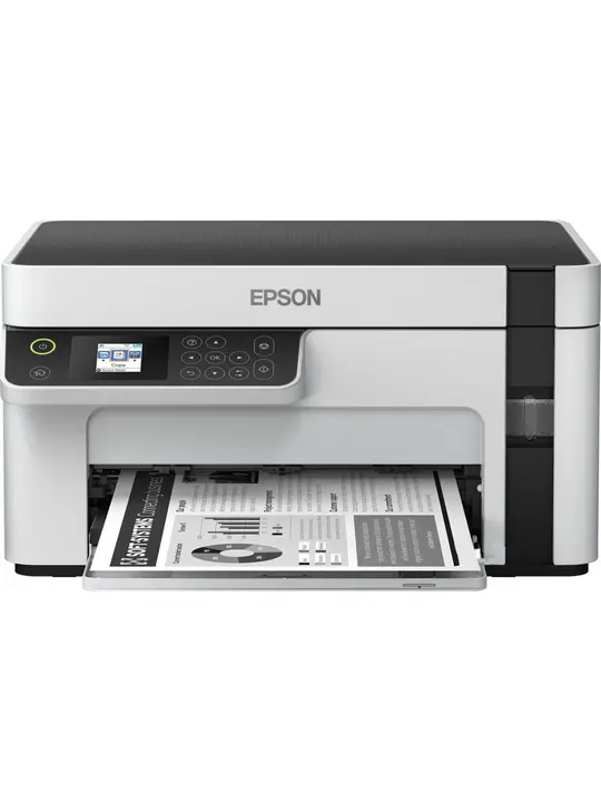 Багатофункціональний пристрій Epson M2120 (C11CJ18404)