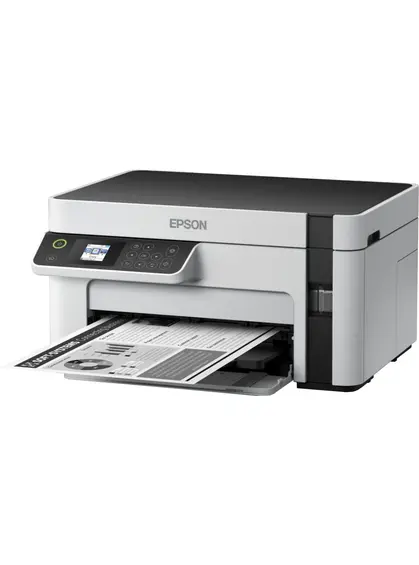 Багатофункціональний пристрій Epson M2120 (C11CJ18404)