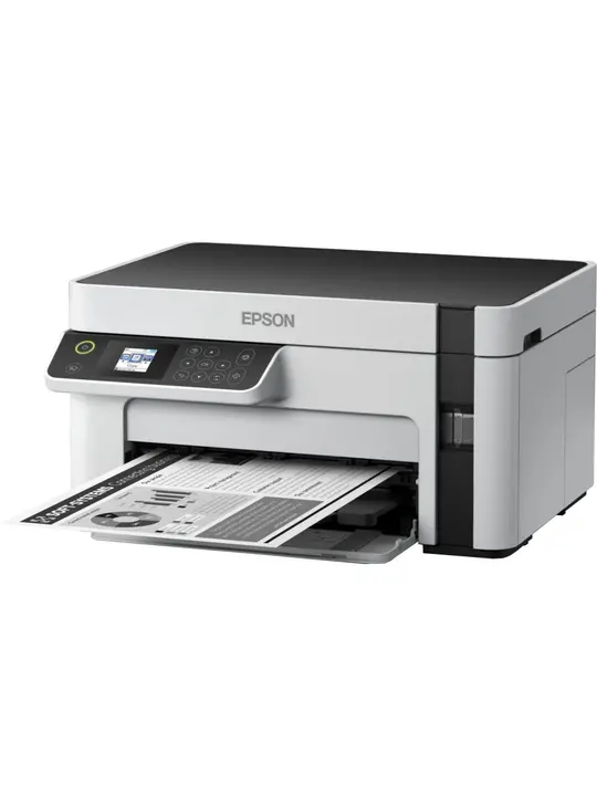 Багатофункціональний пристрій Epson M2120 (C11CJ18404)